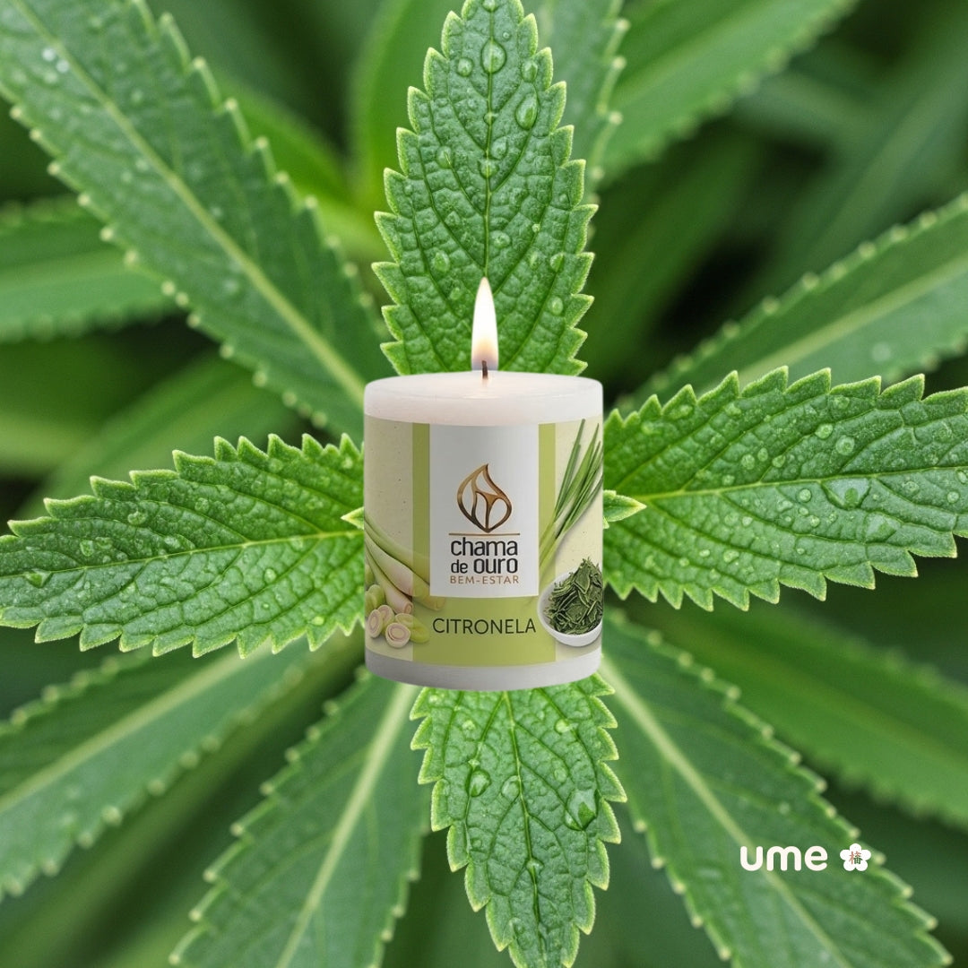 Vela Aromática de Citronela – Chama de Ouro